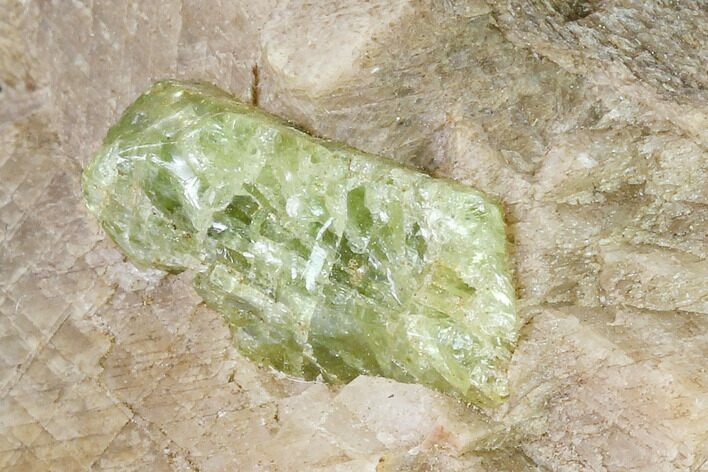 Yellow-Green Fluorapatite Crystal in Calcite - Ontario, Canada #137098